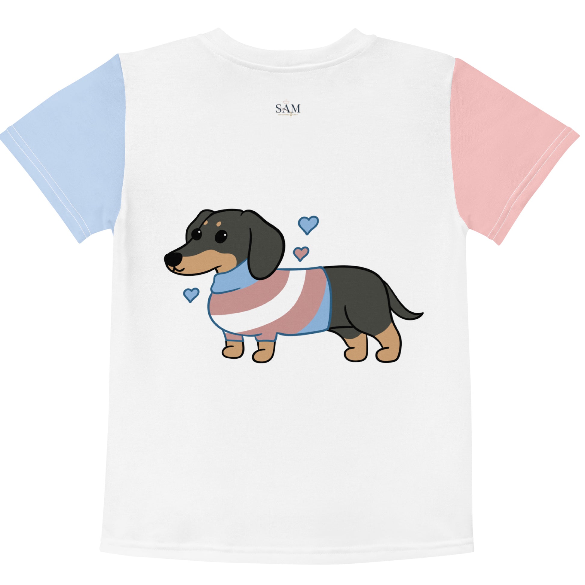 Flat lay of kids dachshund dog t-shirt with cute wiener dog design and colorful pink blue sleeves

