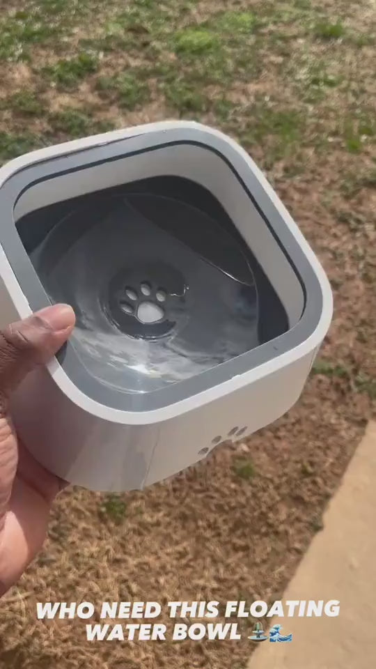 Floating pet water bowl held outdoors to show spill-proof feature