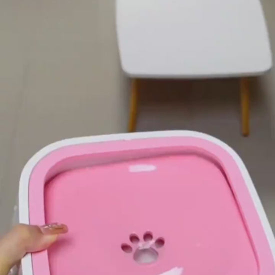 video2Top view of circulating pet water fountain on marble counter
